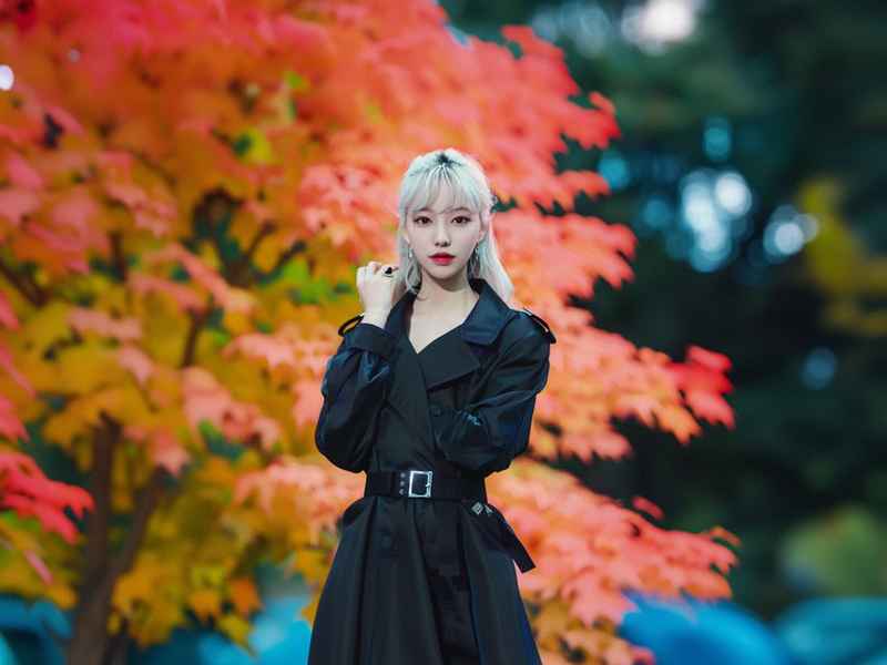 朴彩英ysl时装秀,rose朴彩英ysl走秀 朴彩英ysl时装秀,rose朴彩英ysl走秀