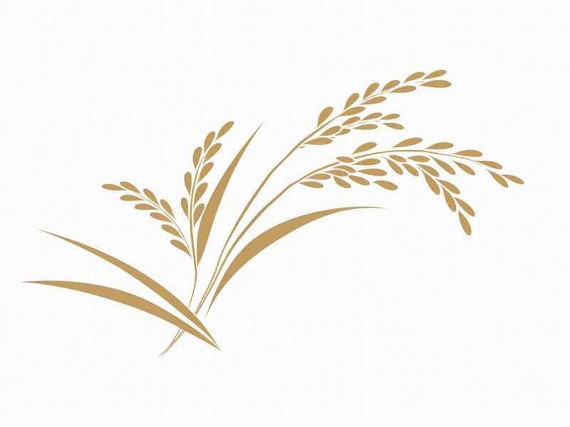 像米字的logo - 像米字的服装品牌logo 像米字的logo - 像米字的服装品牌logo