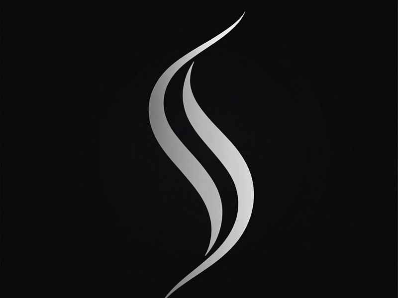 女包品牌s开头,s开头的女包品牌logo 女包品牌s开头,s开头的女包品牌logo