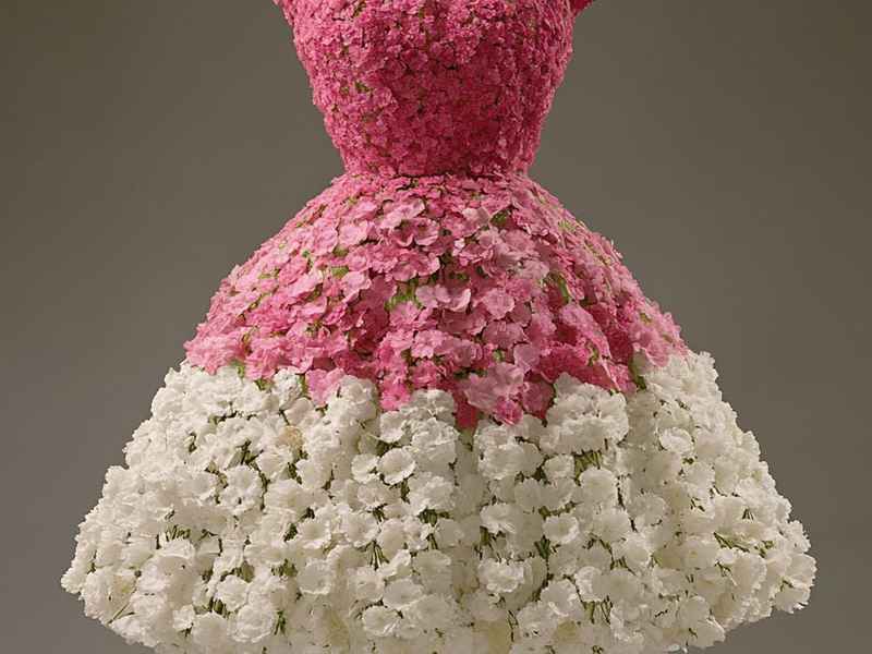 四朵花瓣的衣服是什么品牌,四朵花瓣的衣服是什么品牌的 四朵花瓣的衣服是什么品牌,四朵花瓣的衣服是什么品牌的