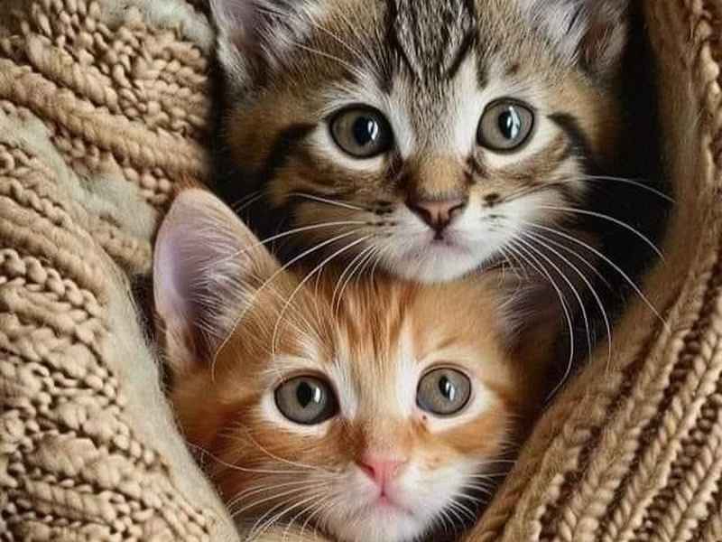 各大奢侈品牌衣服logo - 奢侈品牌服装logo大全 各大奢侈品牌衣服logo - 奢侈品牌服装logo大全
