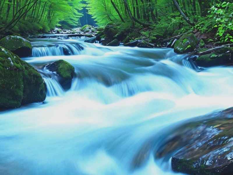 可以注册山泉水的商标名称叫什么 可以注册山泉水的商标名称叫什么来着 可以注册山泉水的商标名称叫什么 可以注册山泉水的商标名称叫什么来着