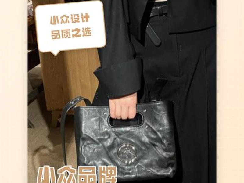 300内品牌包包 300以内小众品牌包包
