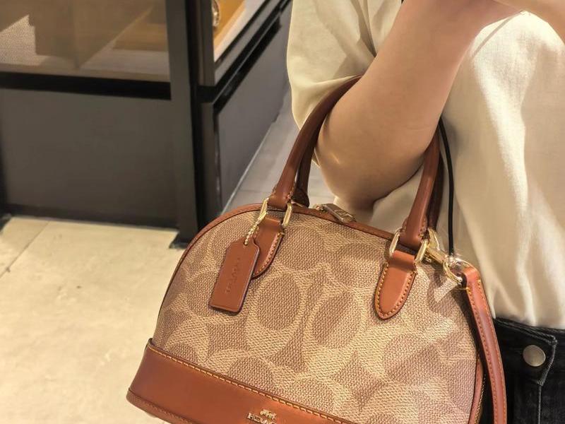 coach牌子的女包图片价格 coach牌子的女包图片价格是多少 coach牌子的女包图片价格 coach牌子的女包图片价格是多少