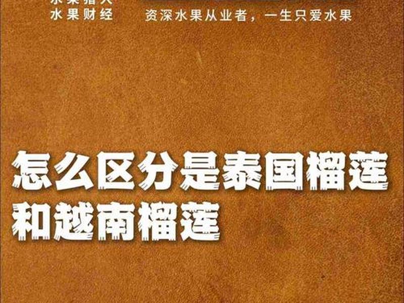 10月泰国及越南榴莲、泰国榴莲便宜还是越南榴莲便宜 10月泰国及越南榴莲、泰国榴莲便宜还是越南榴莲便宜