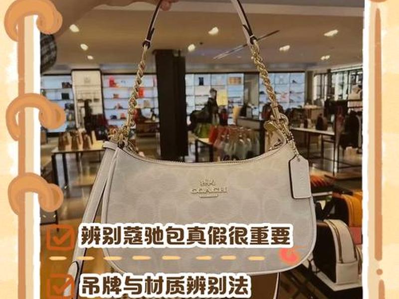 cc品牌包包专柜正品直播 - cc品牌包包专柜正品直播是真的吗 cc品牌包包专柜正品直播 - cc品牌包包专柜正品直播是真的吗
