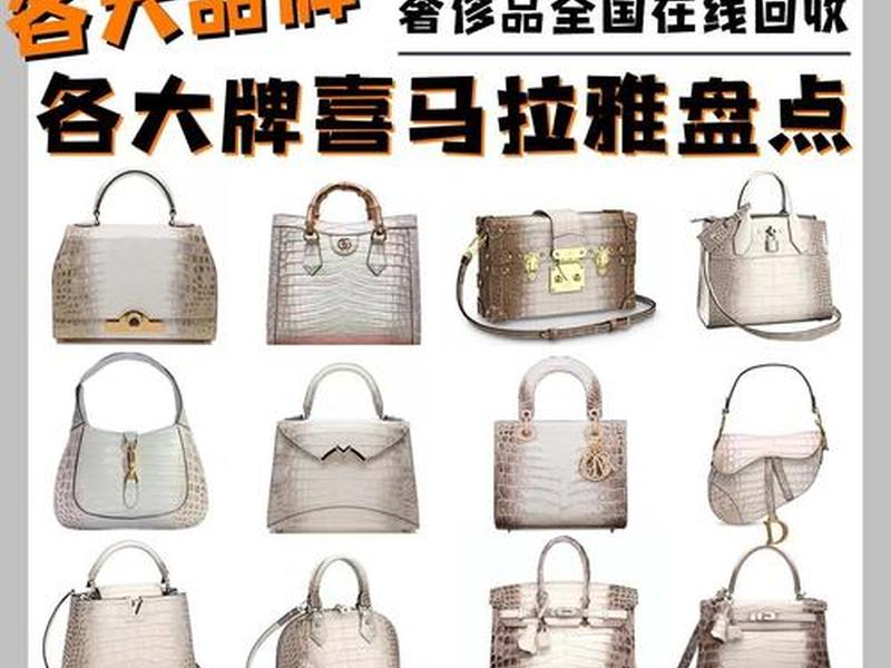 2021款包包品牌有哪些 2021款包包品牌有哪些牌子 2021款包包品牌有哪些 2021款包包品牌有哪些牌子
