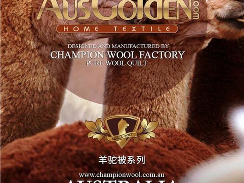 ausgolden是哪里的品牌;ausgolden是什么牌子 ausgolden是哪里的品牌;ausgolden是什么牌子