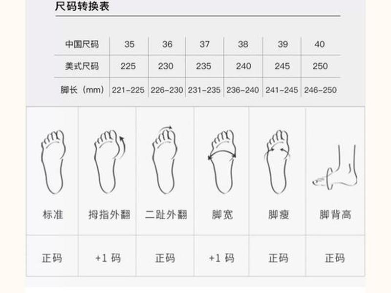 bv女款、bv女款40.5码鞋是中国几码 bv女款、bv女款40.5码鞋是中国几码