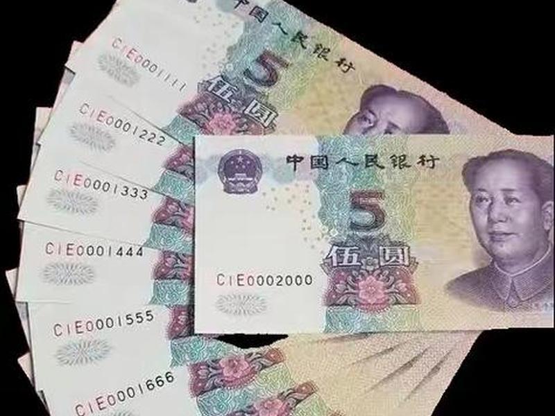 5元零钱包 5元零钱图片 5元零钱包 5元零钱图片