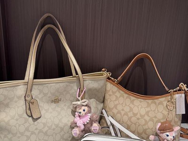 coach牌子的女包图片价格 coach牌子的女包图片价格是多少 coach牌子的女包图片价格 coach牌子的女包图片价格是多少