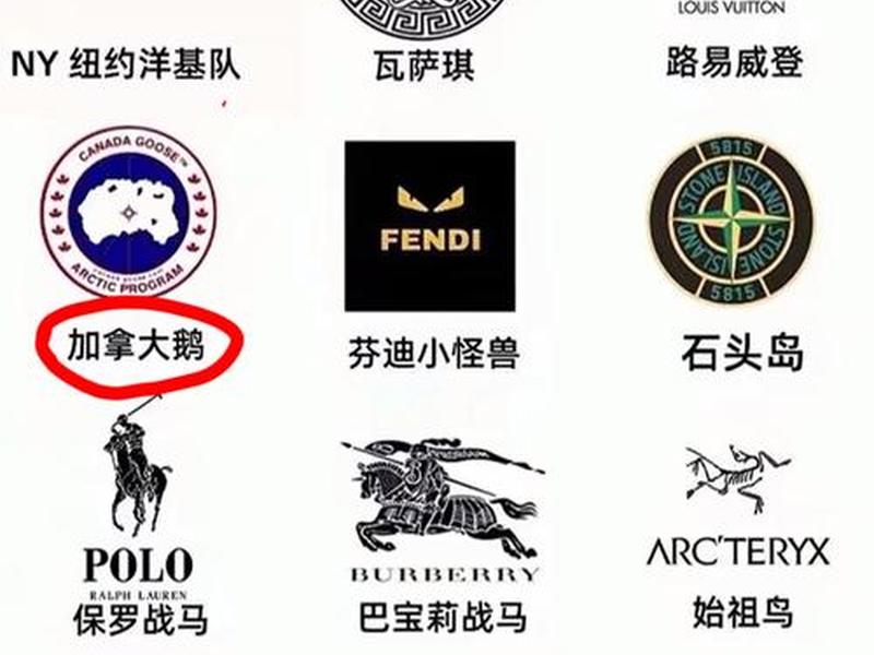 10大奢侈羽绒服品牌图片（10大奢侈羽绒服品牌图片大全）