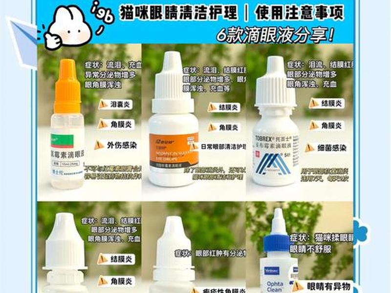 2020眼药水品牌排行榜(2020眼药水品牌排行榜图片) 2020眼药水品牌排行榜(2020眼药水品牌排行榜图片)