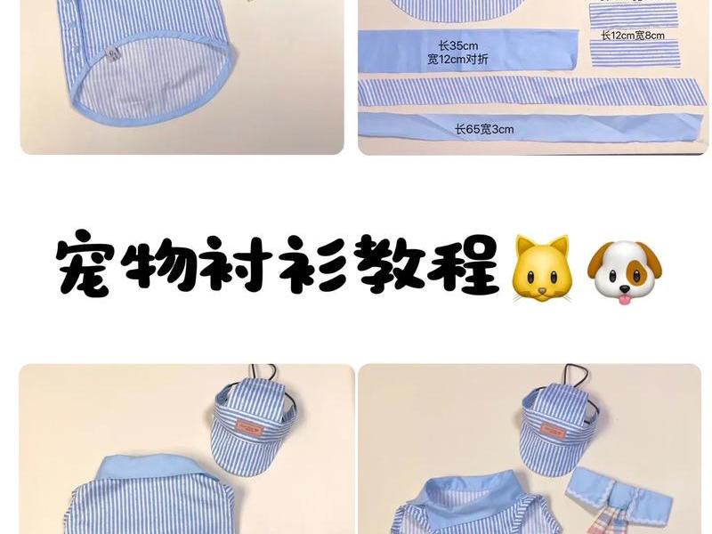 1元宠物衣服包包批发渠道（宠物衣服批发市场货源）