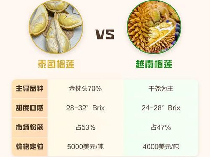 10月泰国及越南榴莲、泰国榴莲便宜还是越南榴莲便宜 10月泰国及越南榴莲、泰国榴莲便宜还是越南榴莲便宜