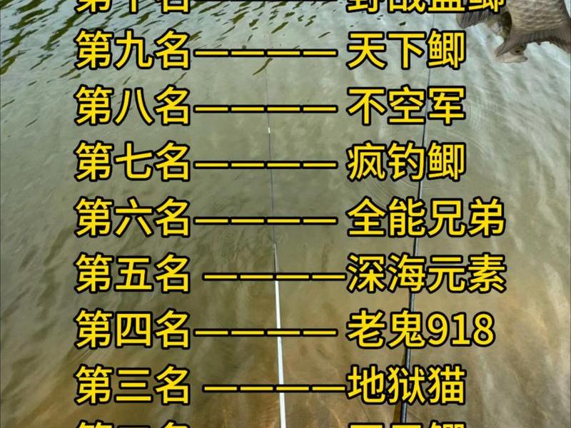 2020鱼饵品牌排行榜从,2020鱼饵品牌排行榜从哪里看 2020鱼饵品牌排行榜从,2020鱼饵品牌排行榜从哪里看