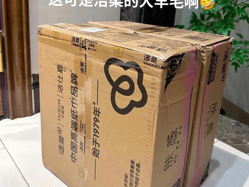 1箱100包，一箱纸巾整箱100包