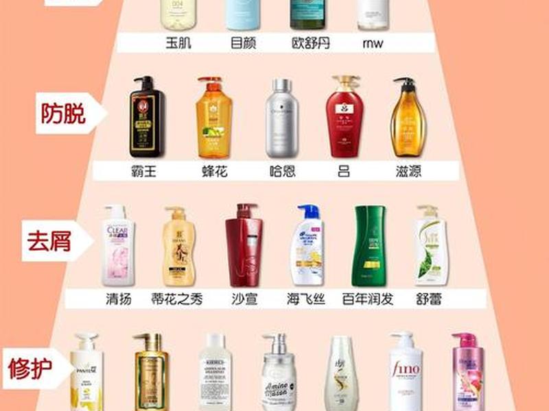10大洗发水品牌 - 10大洗发水品牌前十名 10大洗发水品牌 - 10大洗发水品牌前十名