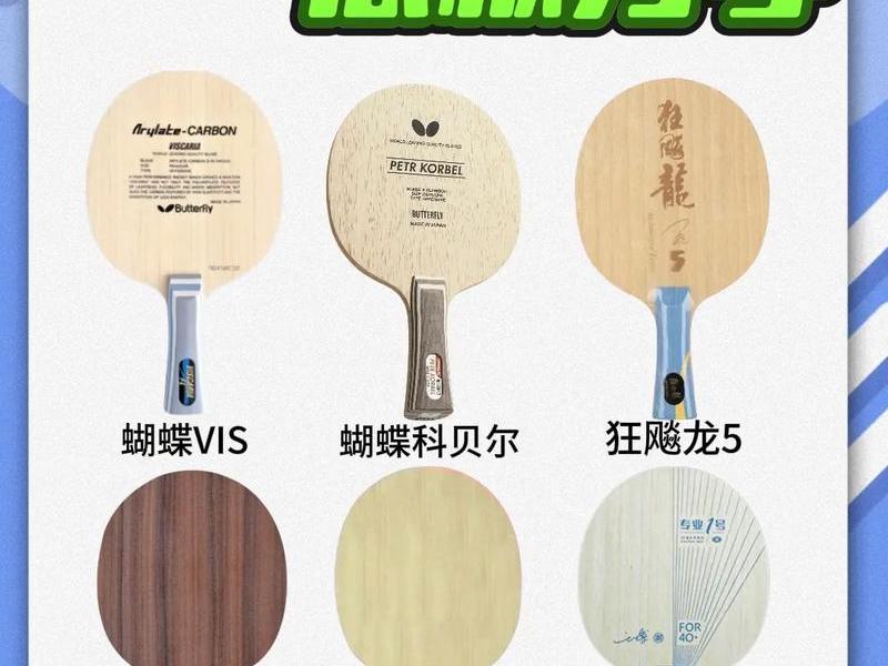 500以内的乒乓球底推荐，500以内的乒乓球底板推荐